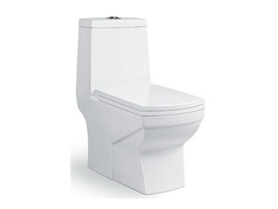 Square ceramic washdown one piece toilet