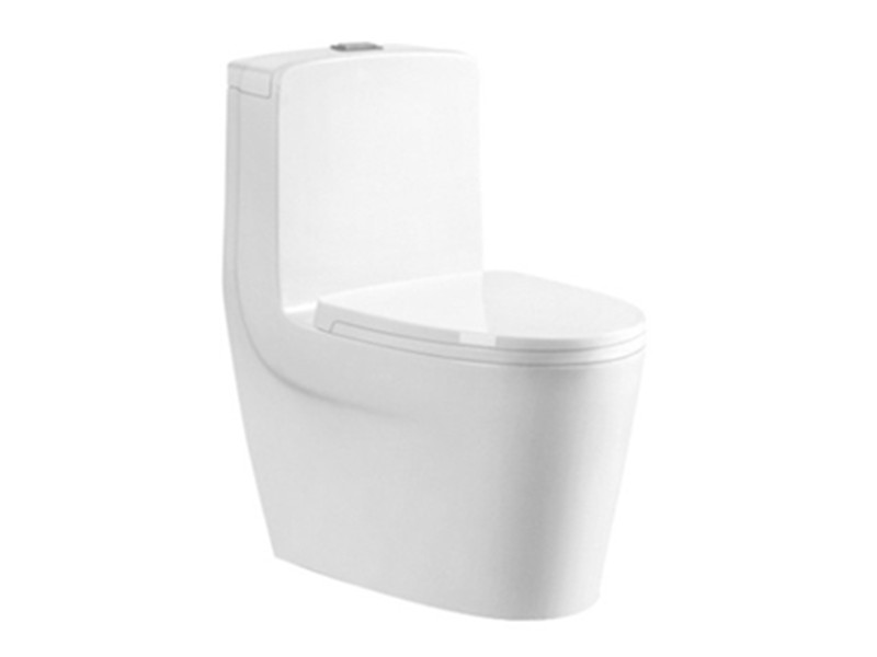 Siphonic toilet china sanitary ware the top 10 brands