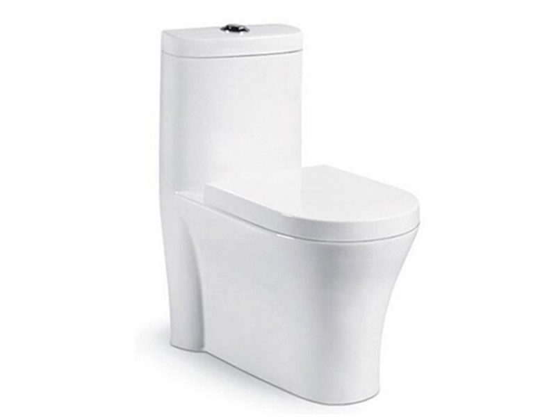 China Inexpensive Dual-Flush Bathroom Siphonic Flushing Modern Toilet Seat