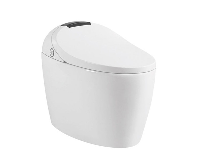 Smart toilet bidet with intelligent control
