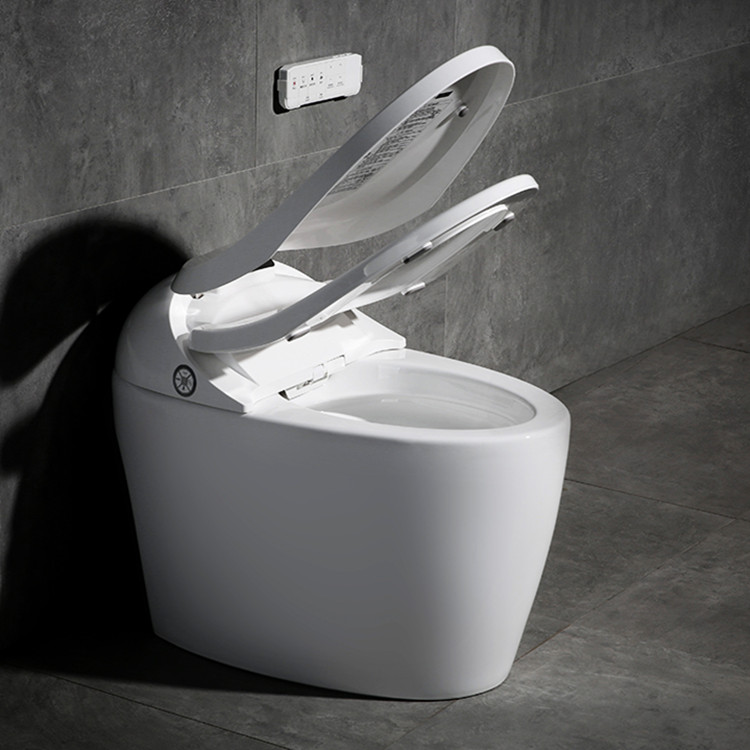 Smart Toilet Bidet With Intelligent Control | Meizhi
