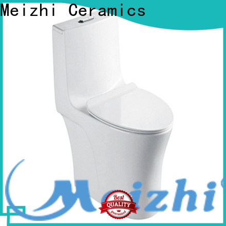 Toilet Reviews Home Depot Commodes Meizhi